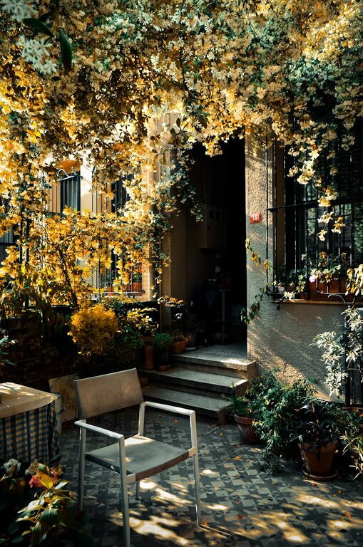 Tips for Creating a Relaxing Garden Space in Your Backyard